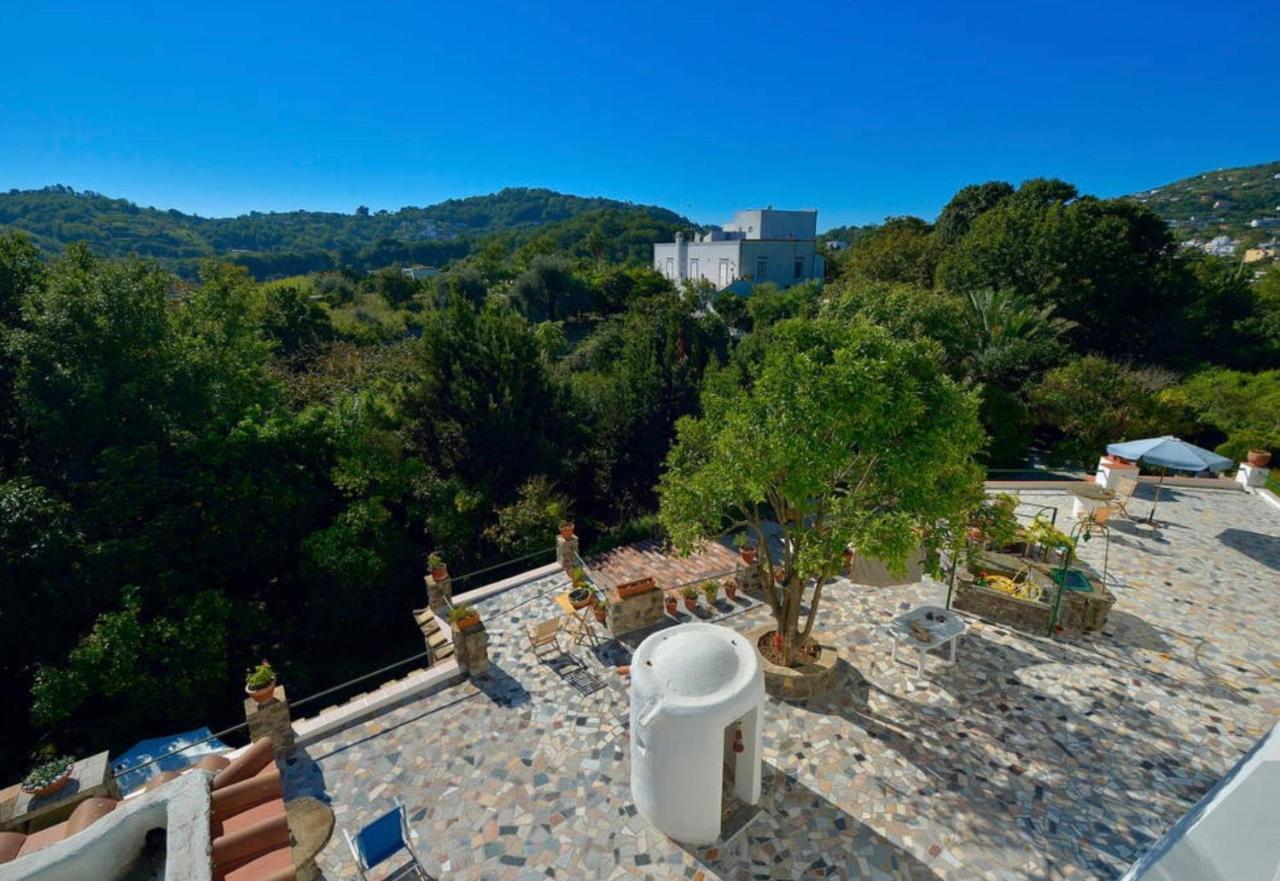 Villa Vincenzo Di Meglio Barano d'Ischia Ngoại thất bức ảnh