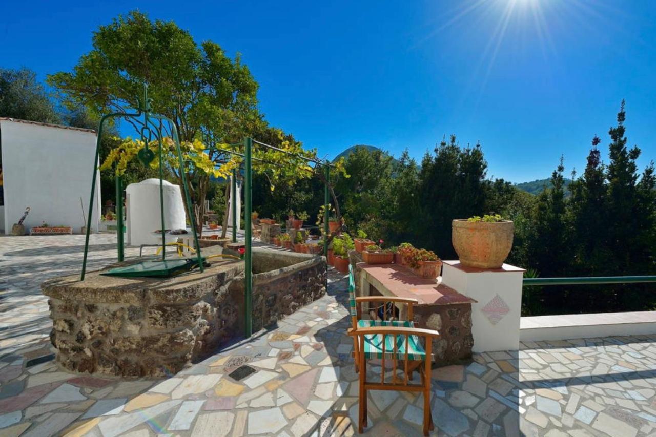 Villa Vincenzo Di Meglio Barano d'Ischia Ngoại thất bức ảnh