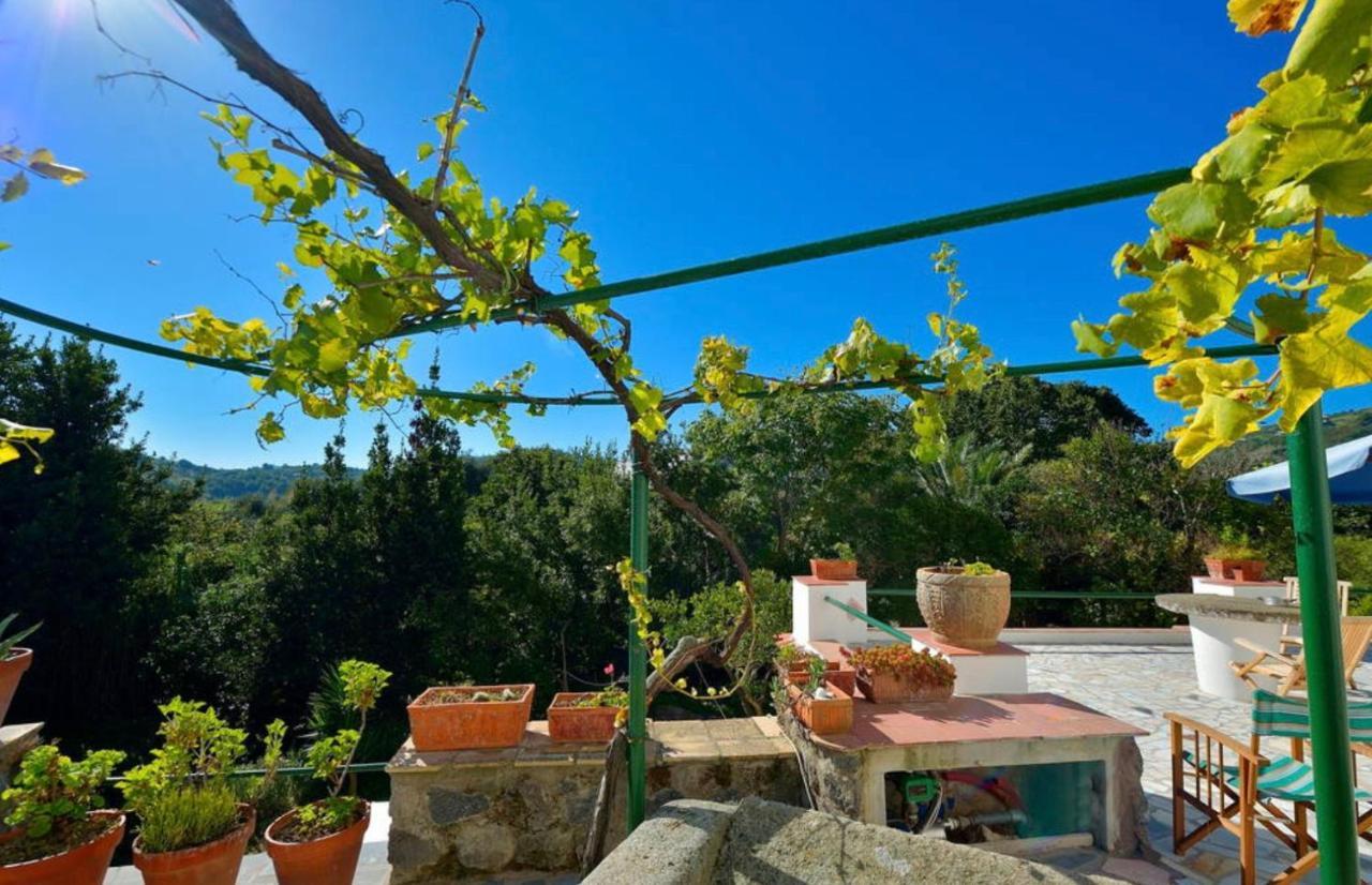 Villa Vincenzo Di Meglio Barano d'Ischia Ngoại thất bức ảnh