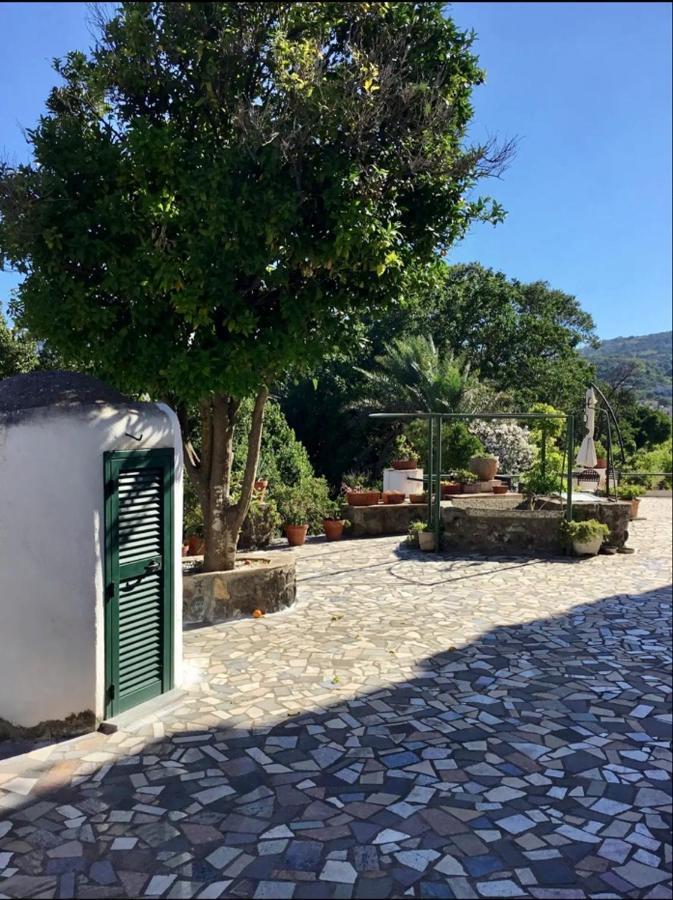 Villa Vincenzo Di Meglio Barano d'Ischia Ngoại thất bức ảnh