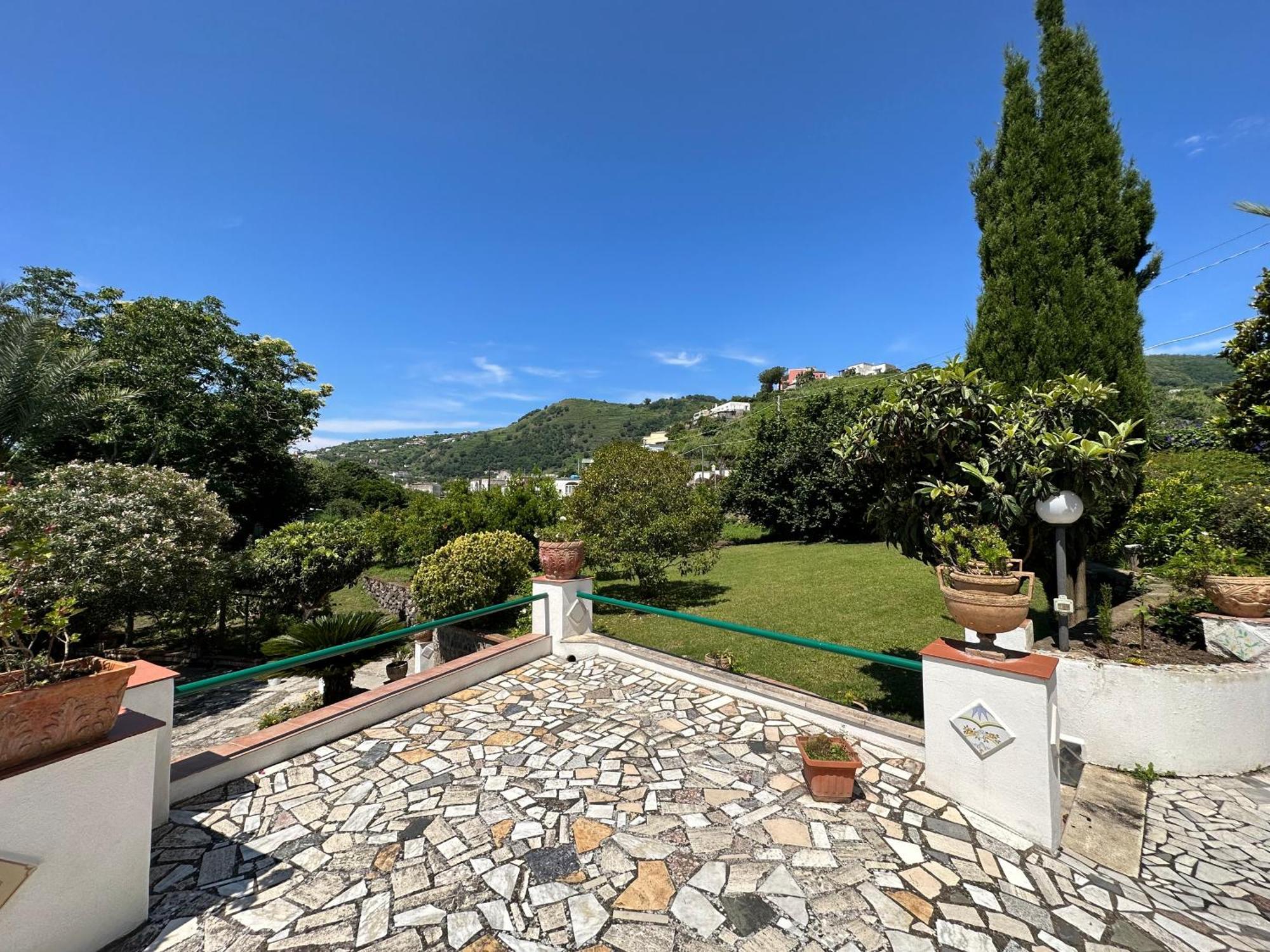 Villa Vincenzo Di Meglio Barano d'Ischia Ngoại thất bức ảnh