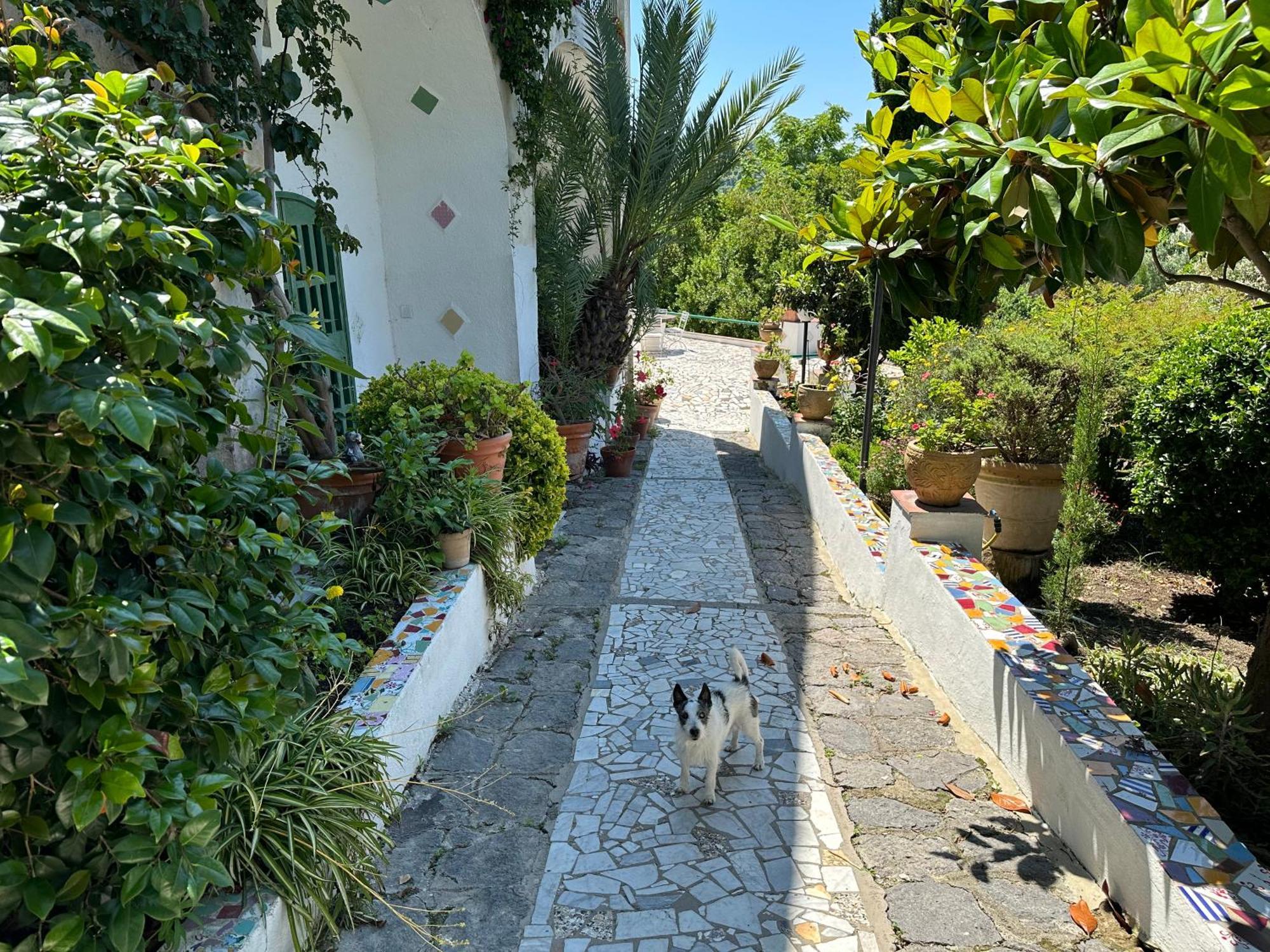 Villa Vincenzo Di Meglio Barano d'Ischia Ngoại thất bức ảnh