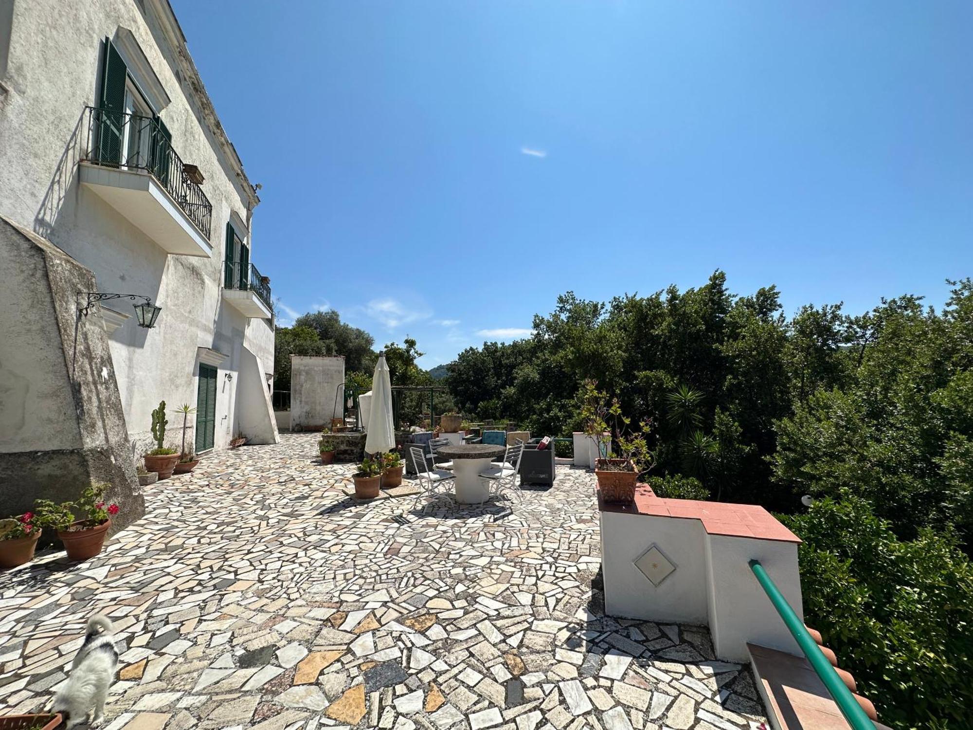 Villa Vincenzo Di Meglio Barano d'Ischia Ngoại thất bức ảnh