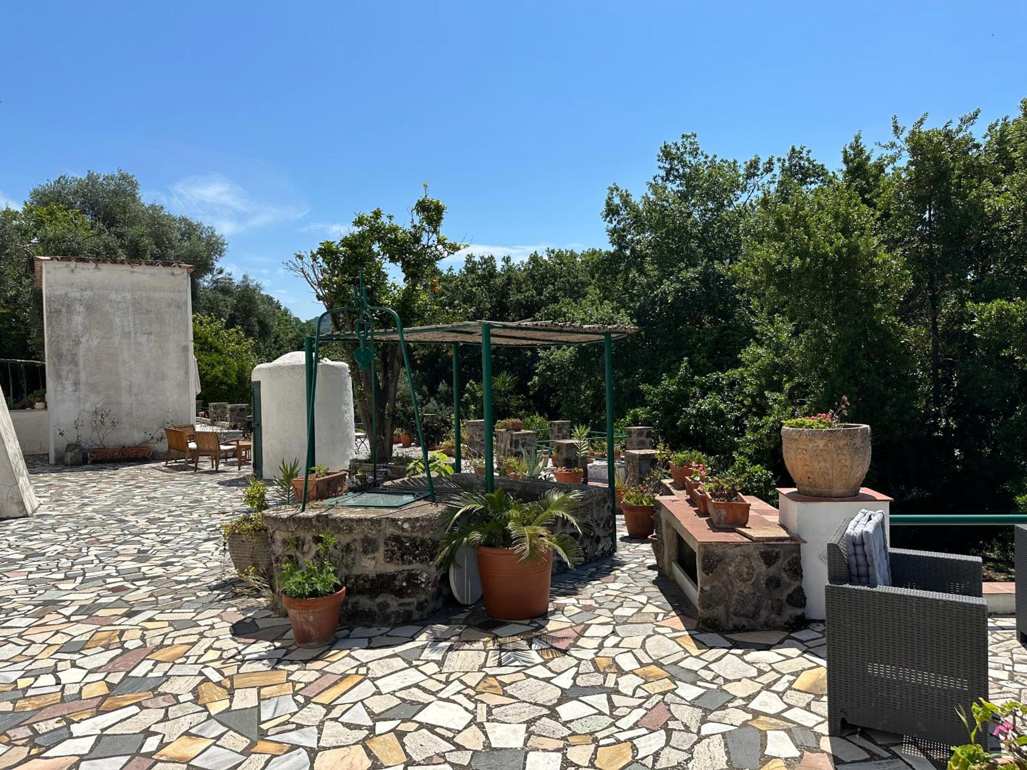 Villa Vincenzo Di Meglio Barano d'Ischia Ngoại thất bức ảnh