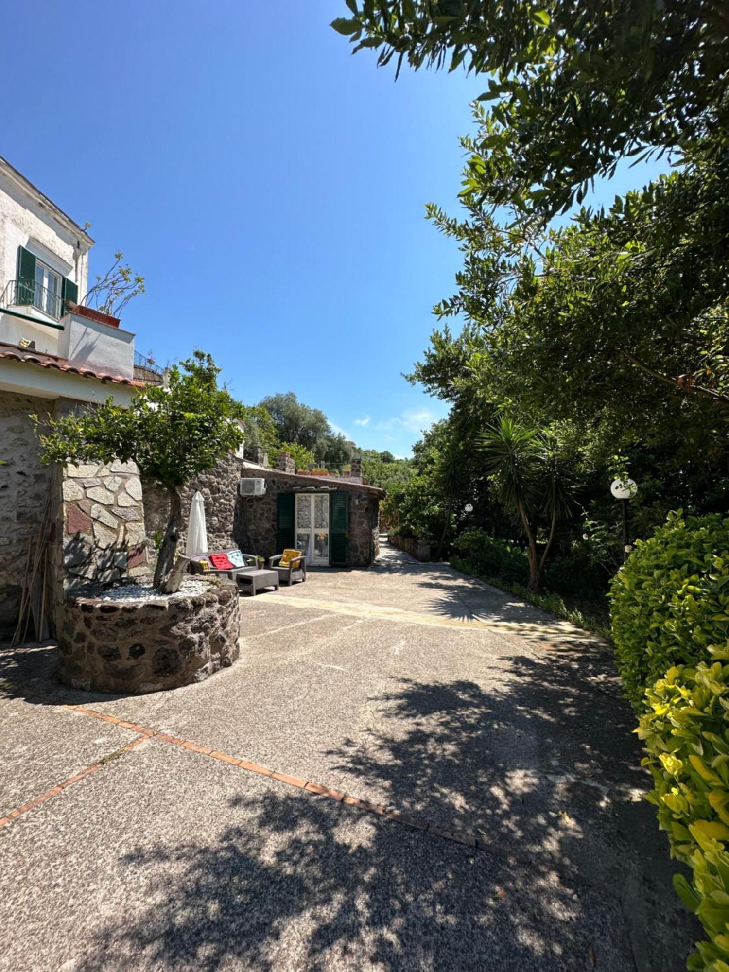 Villa Vincenzo Di Meglio Barano d'Ischia Ngoại thất bức ảnh