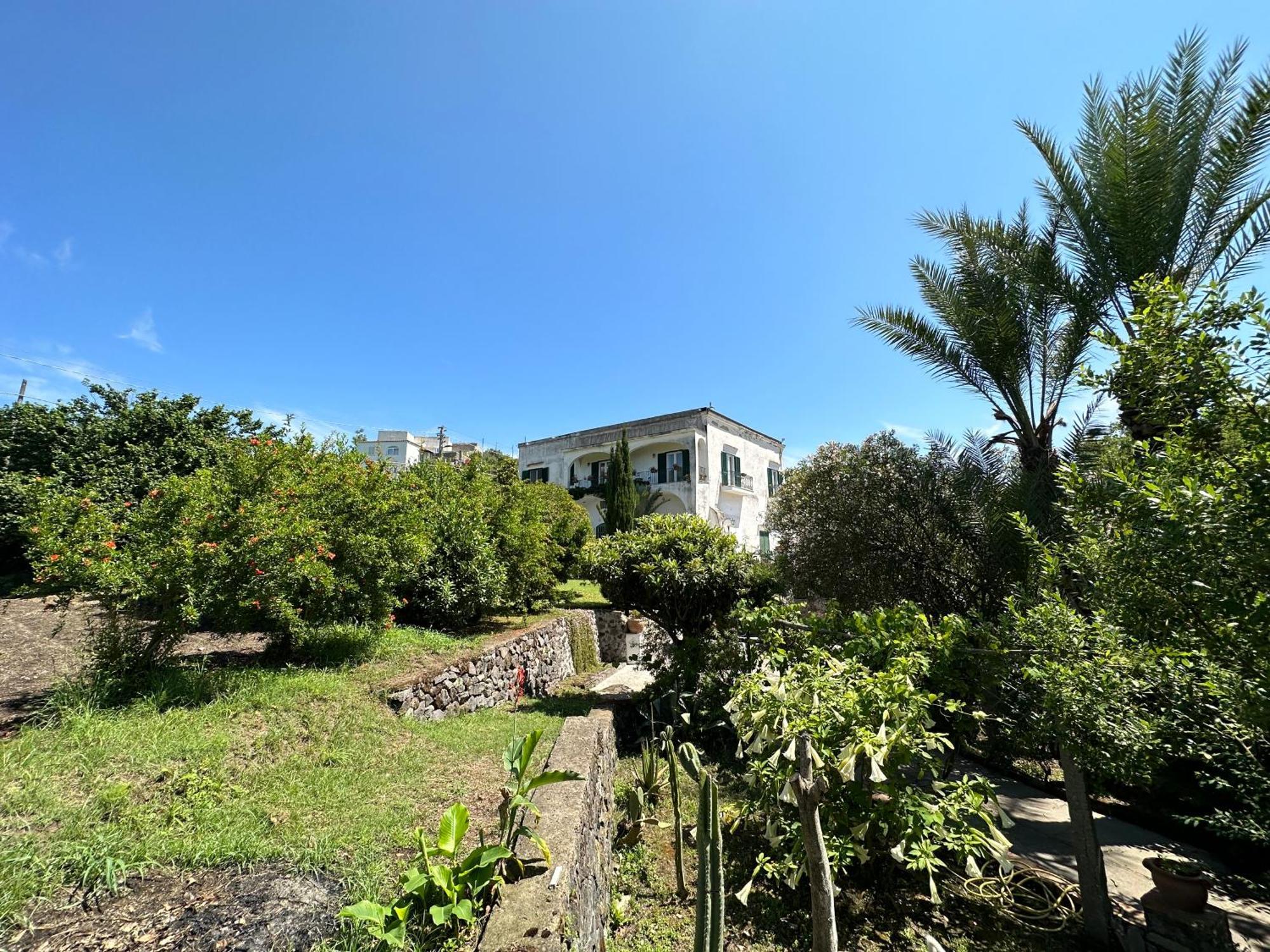 Villa Vincenzo Di Meglio Barano d'Ischia Ngoại thất bức ảnh