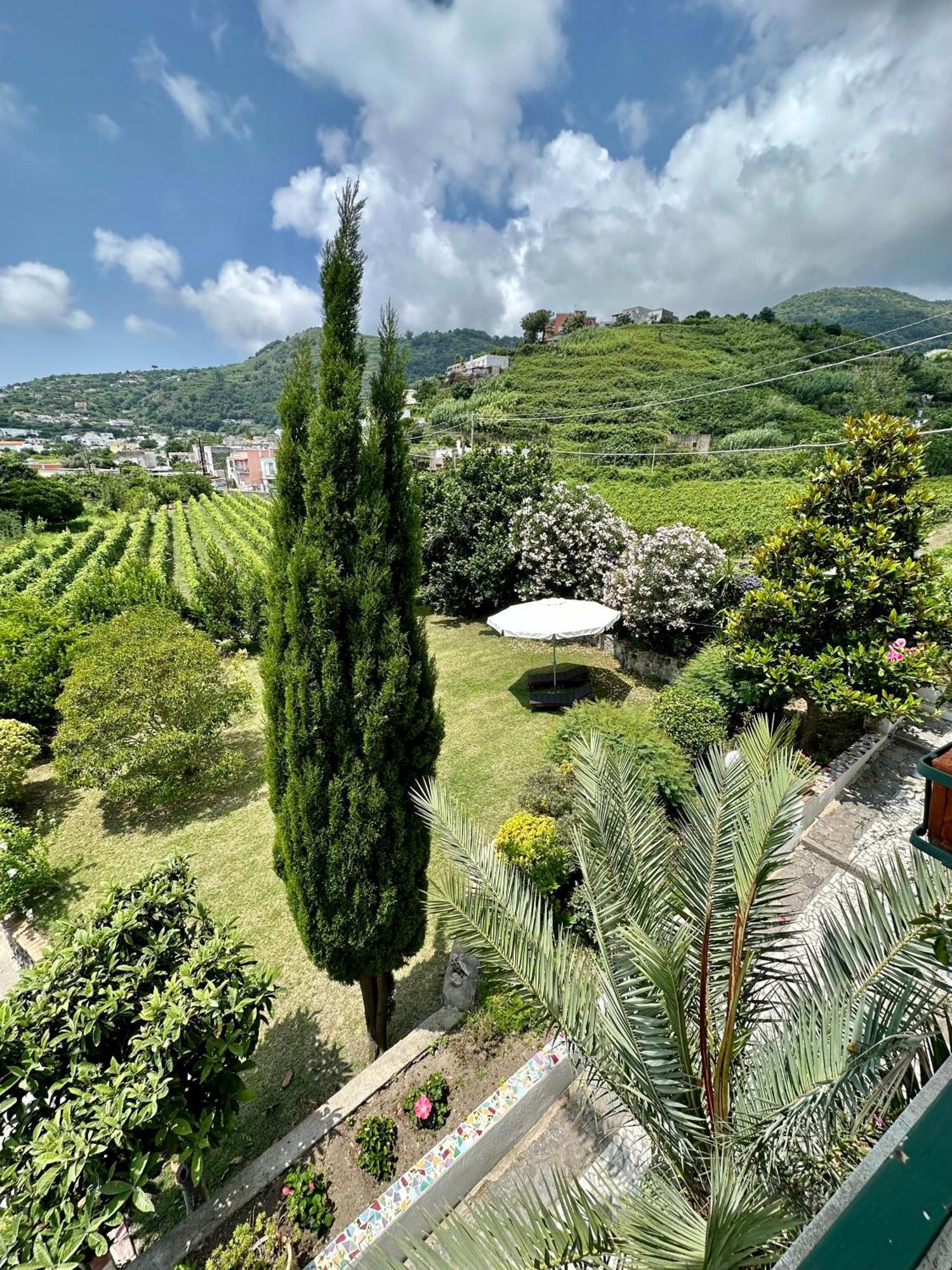 Villa Vincenzo Di Meglio Barano d'Ischia Ngoại thất bức ảnh