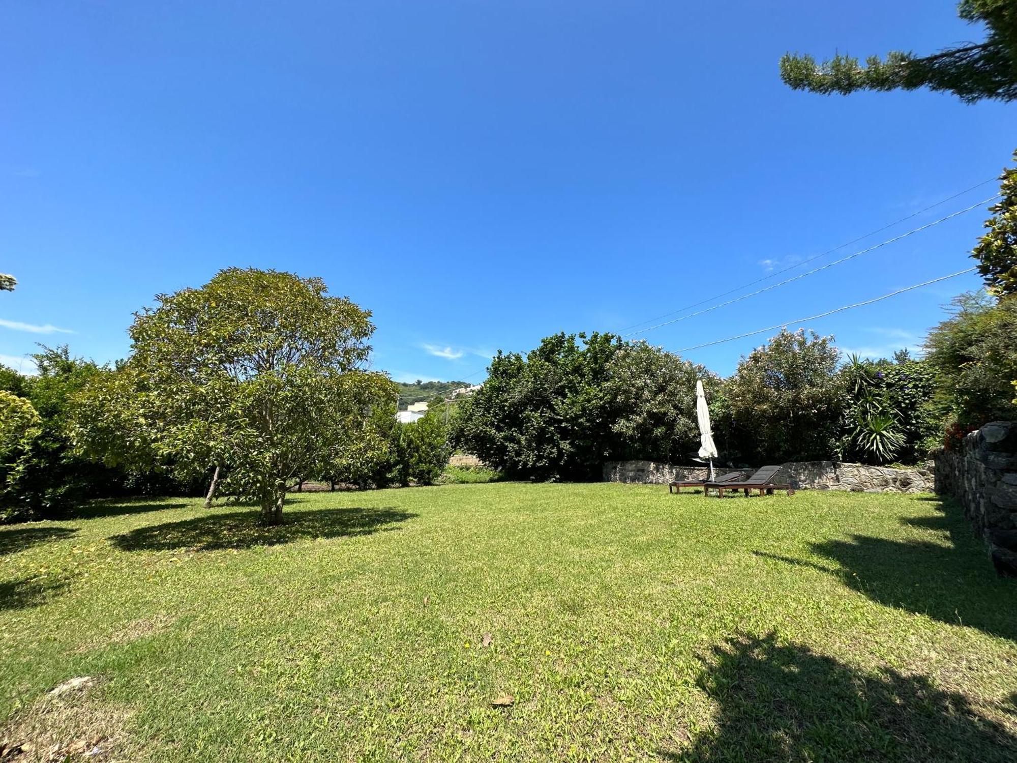 Villa Vincenzo Di Meglio Barano d'Ischia Ngoại thất bức ảnh