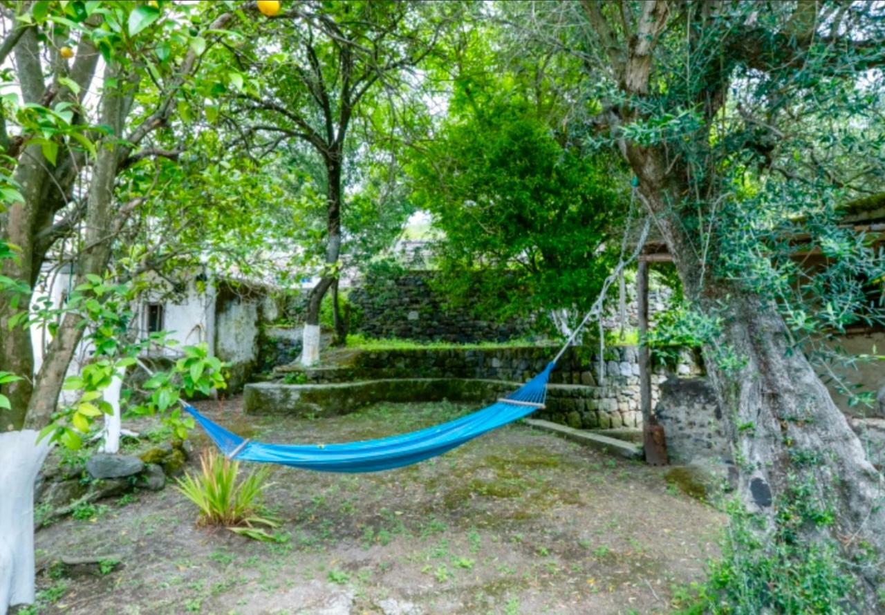 Villa Vincenzo Di Meglio Barano d'Ischia Ngoại thất bức ảnh