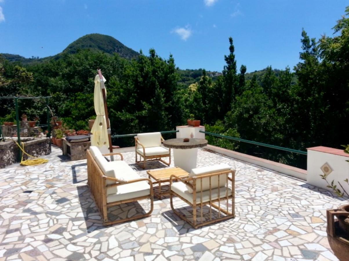 Villa Vincenzo Di Meglio Barano d'Ischia Ngoại thất bức ảnh
