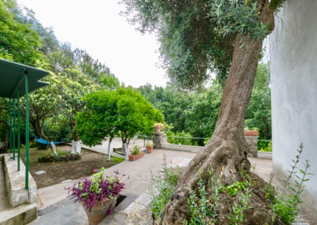 Villa Vincenzo Di Meglio Barano d'Ischia Ngoại thất bức ảnh