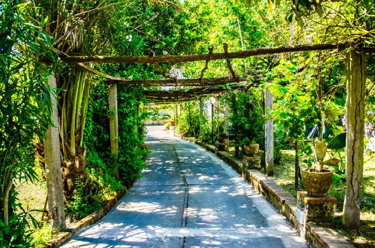 Villa Vincenzo Di Meglio Barano d'Ischia Ngoại thất bức ảnh