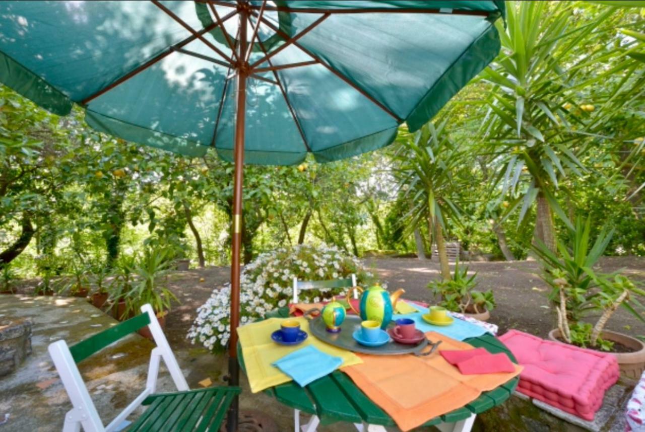 Villa Vincenzo Di Meglio Barano d'Ischia Ngoại thất bức ảnh
