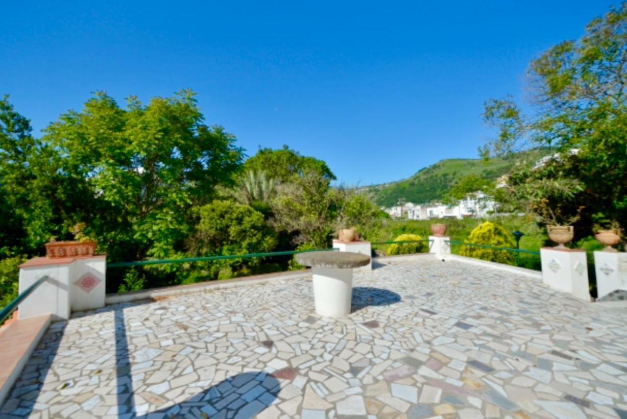 Villa Vincenzo Di Meglio Barano d'Ischia Ngoại thất bức ảnh